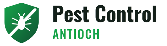 Antioch Pest Control